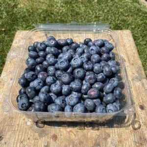 blueberry premium 1kg