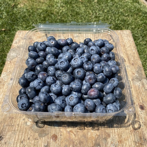 blueberry premium 1kg