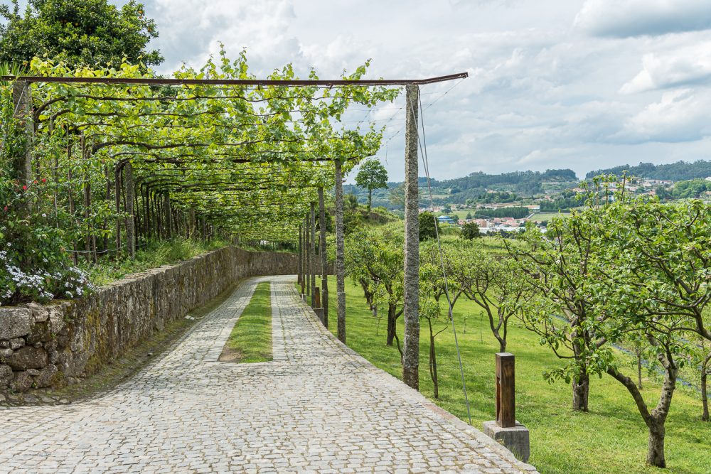 Quinta das Pirâmides - áreas comuns